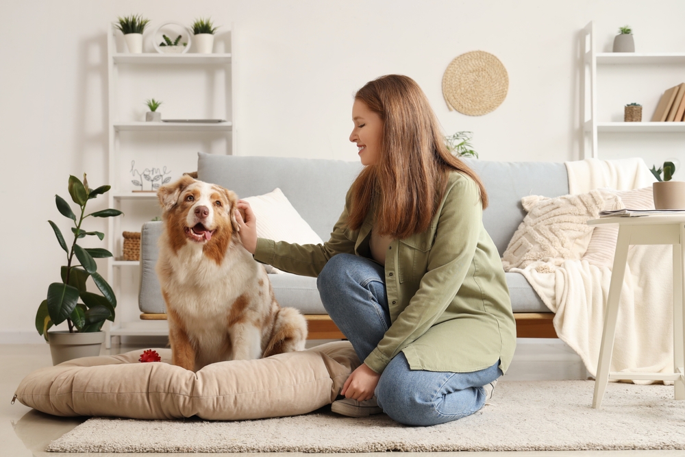 A smiling woman lovingly pets her dog in a warm, pet-friendly living room filled with cozy furniture and indoor plants. - Veterinarian in Jefferson, GA